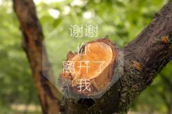 英雄联盟总决赛2025-这是一篇为您定制的文章，主题聚焦于唯一性—即这场比赛不仅是一场胜利，更是一场改变世界足坛格局的、不可复制的历史瞬间