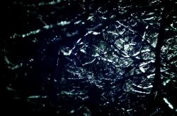 英雄联盟总决赛2025-跨越赛场的指挥官，赖斯映照胜利基因