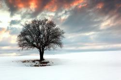 LOL决赛-王冠与草根，当小贾伦在波士顿花园弑杀国王