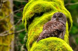 英雄联盟总决赛2025-活塞打穿广东队防线，浓眉制胜一球诠释比赛唯一性