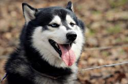 英雄联盟总决赛时间-新王试剑，旧主沉舟，爱德华兹的怒吼划破密尔沃基夜空