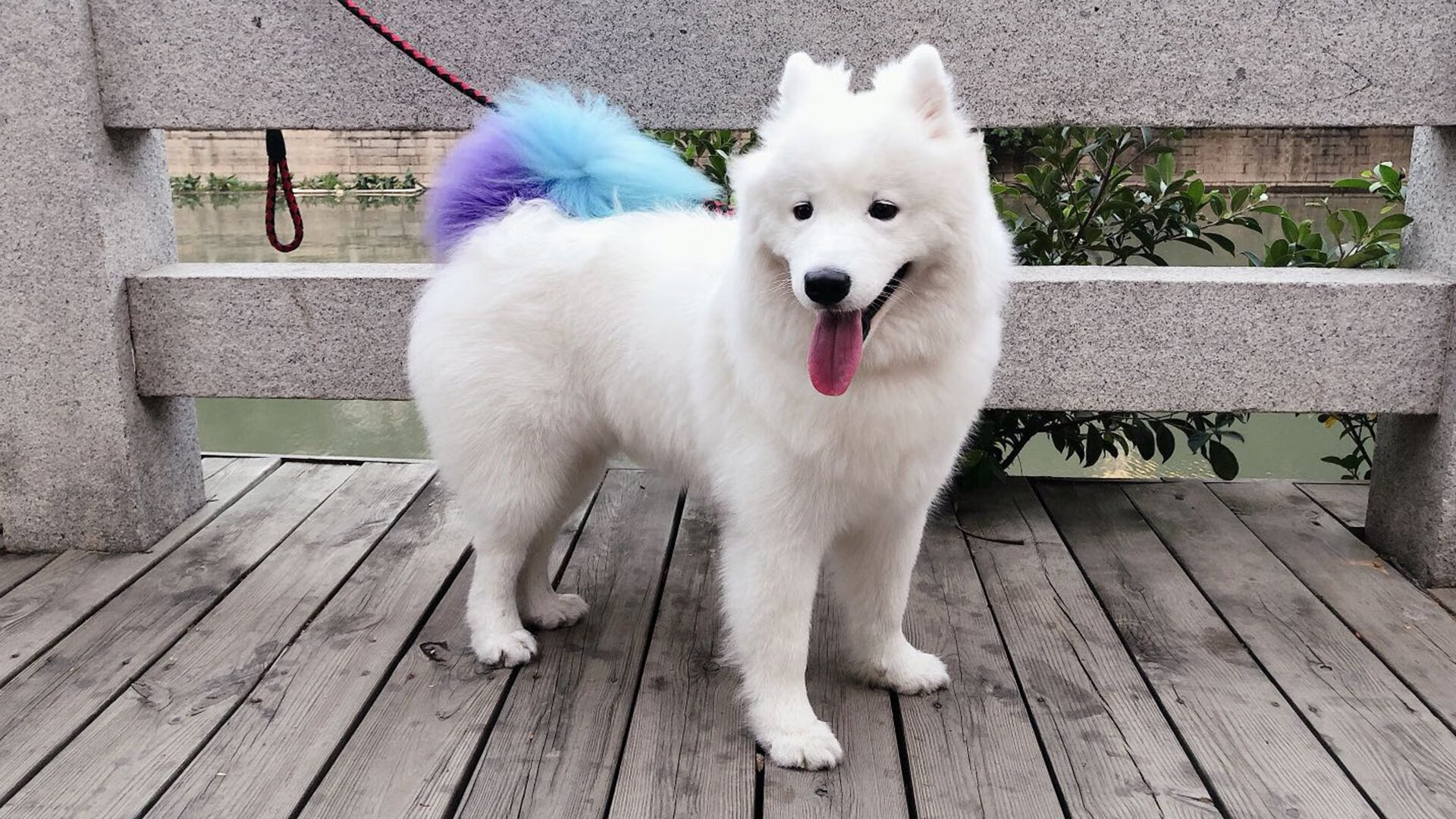 苍穹为证,世界排名争夺战之夜,加克波一球定江山