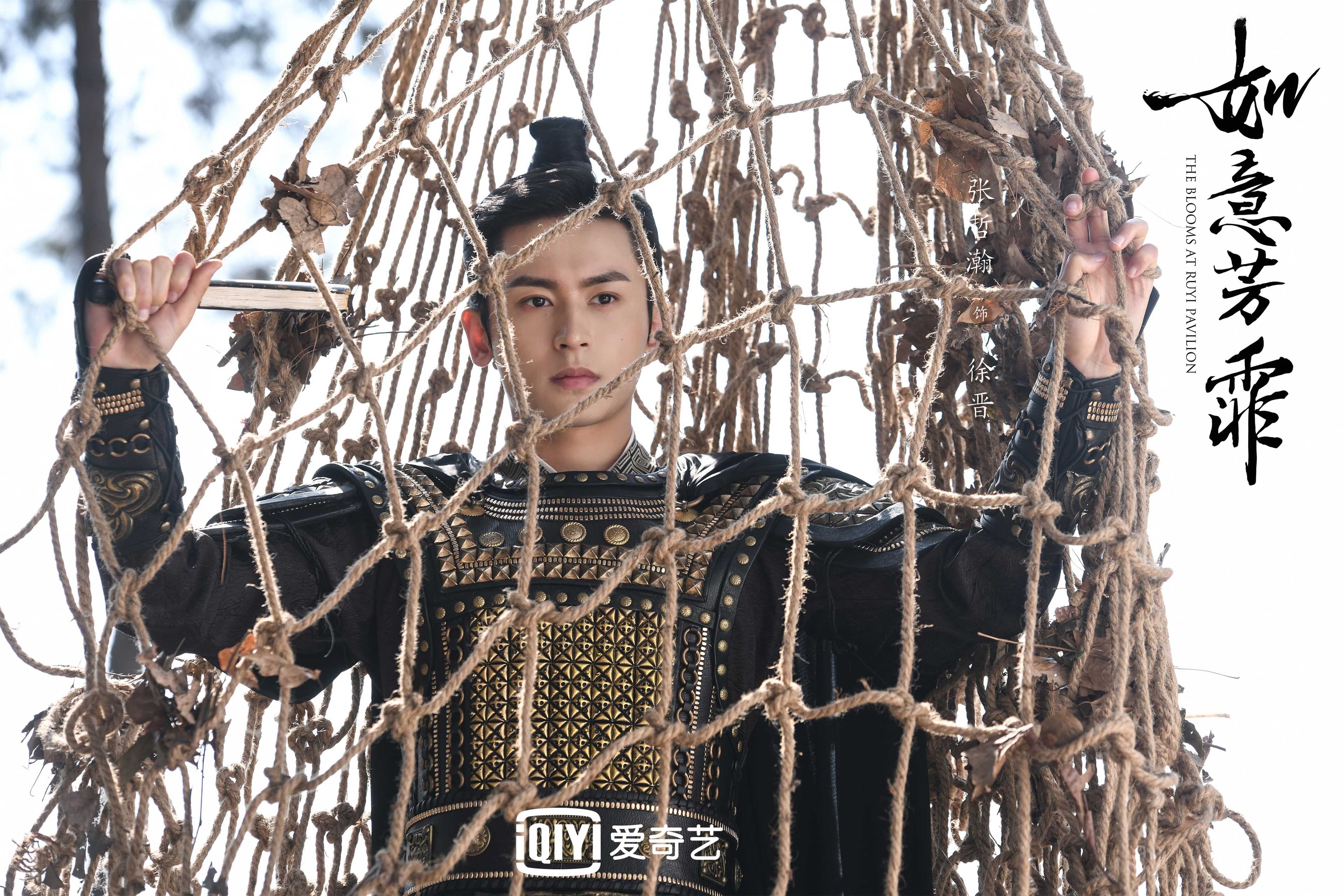 小国的咆哮，加维的宏大舞台与南非制霸爱尔兰的竞技启示