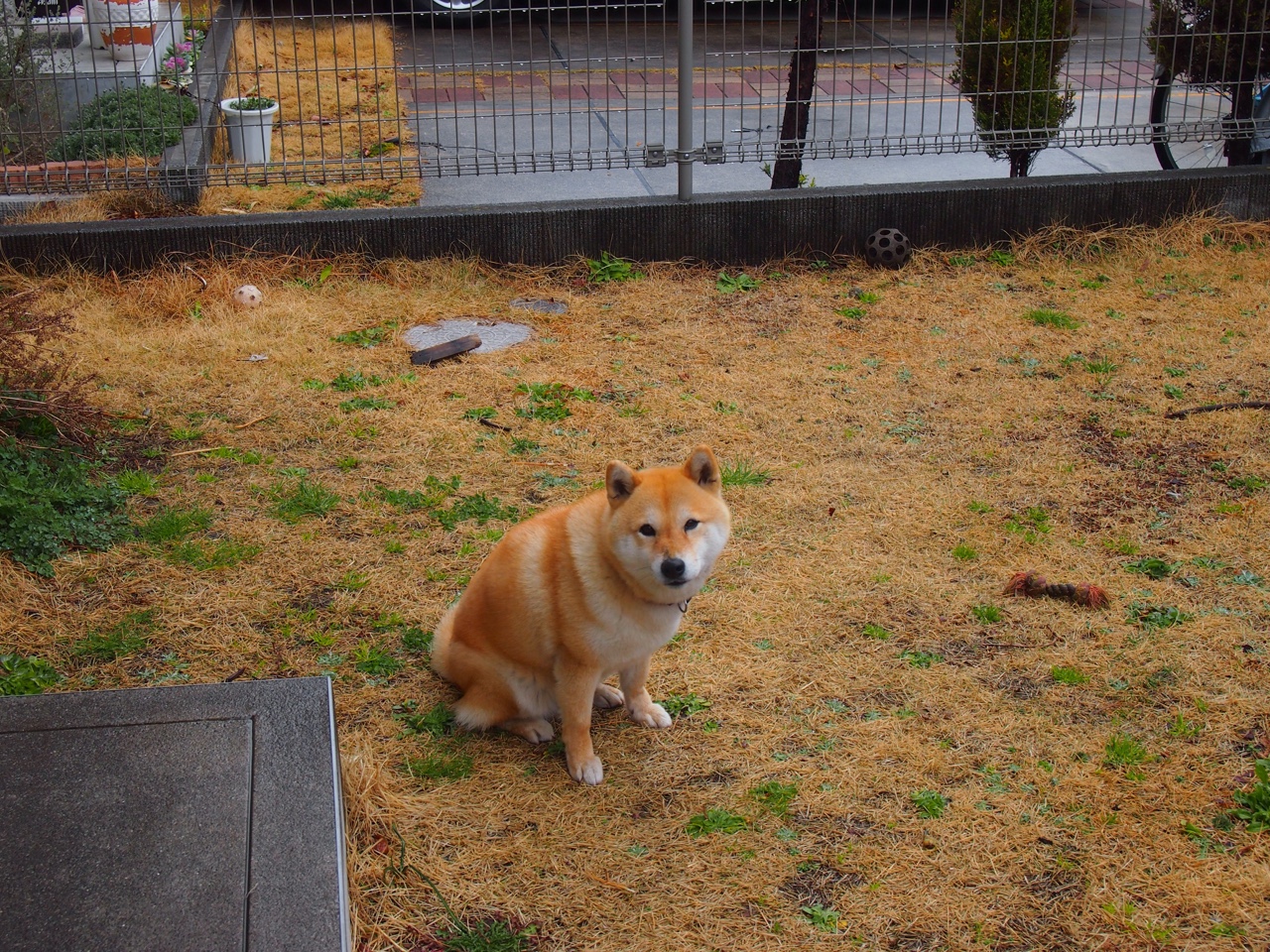 遥远的同步，当萨拉赫爆发时，中国稳稳拿下乌拉圭