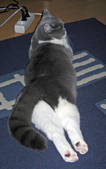 轻舟已过万重山，当文班亚马在CBA卷起新浪潮