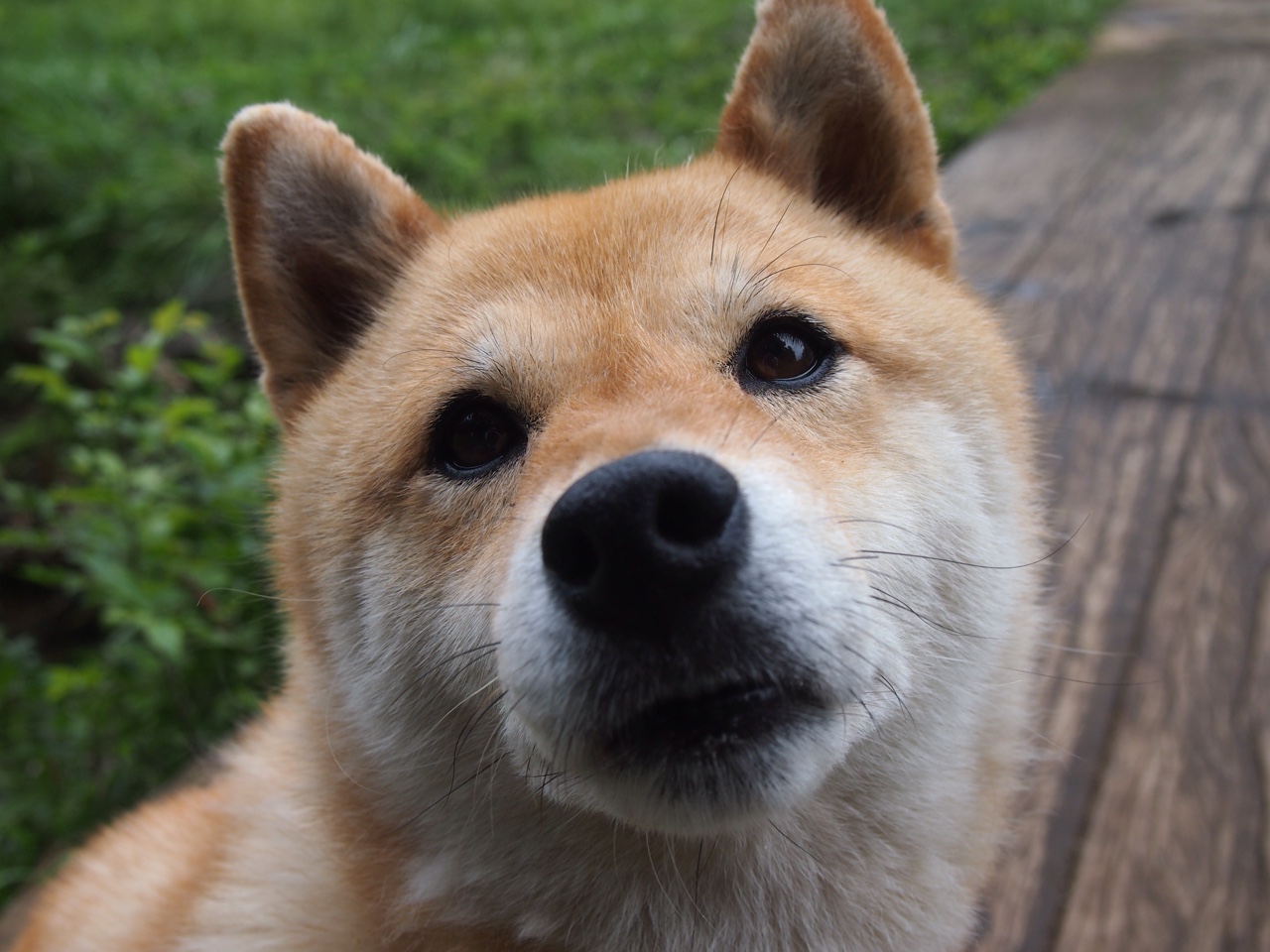 虚拟德比，当黑星加纳的战术镰刀划破马德里竞技的铁血星空