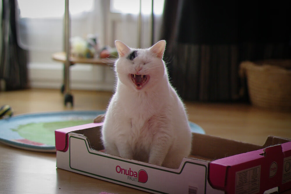 破冰者英格拉姆，撕裂鹰群封锁线的关键先生