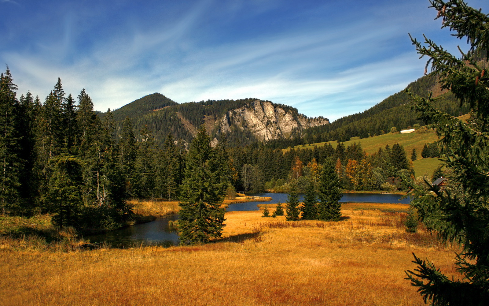 唯一一次胜利,魔术终结对太阳十年魔咒,伦纳德替补席杀出定乾坤