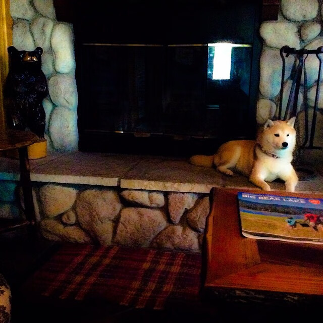 当冷板凳燃起火焰，布克与那个改写命运的夜晚