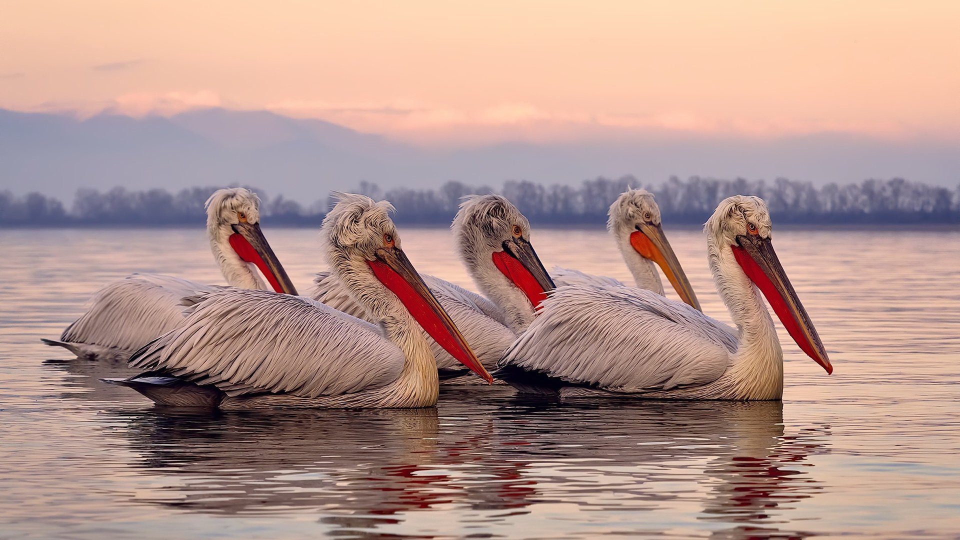 柏林之墙与几内亚之矛，当冠军级的灵魂点燃草根逆袭