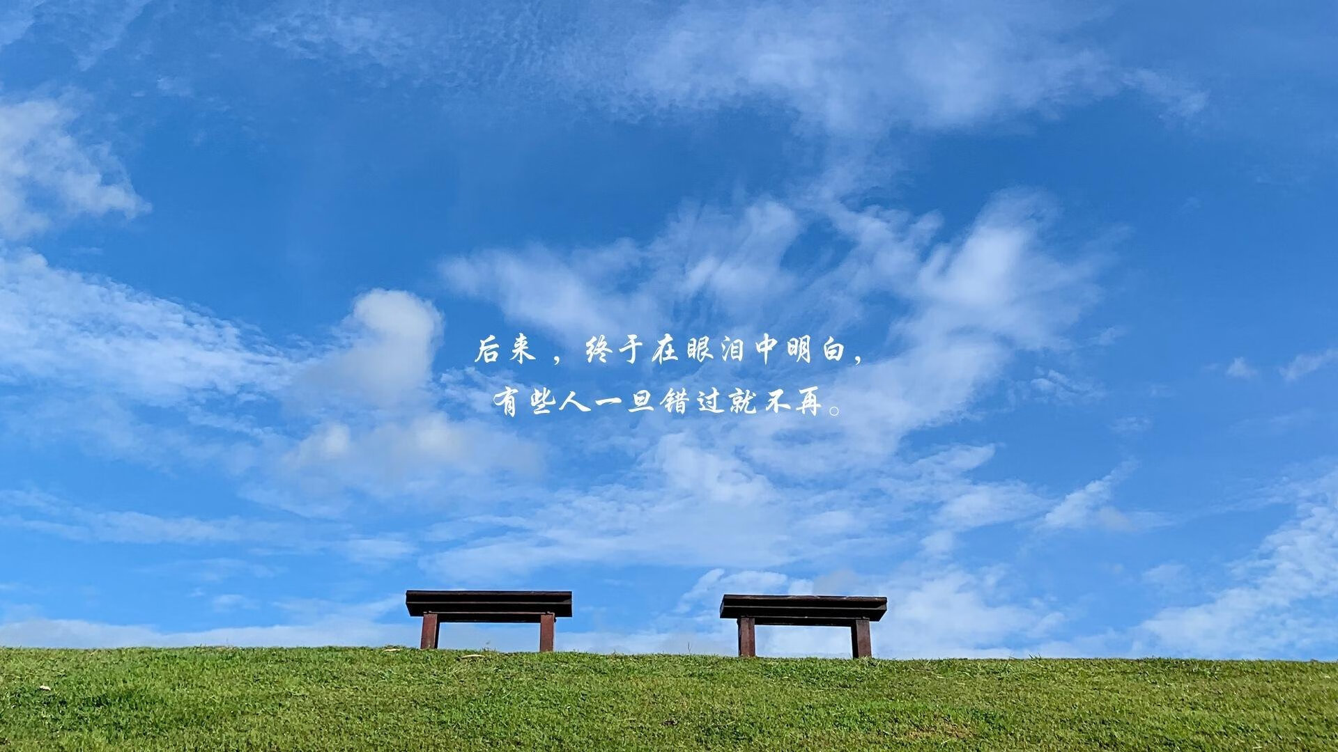 黑马撕裂防线的风暴，克瓦拉茨赫利亚爆发背后，新西兰如何在巅峰对决中胜出中国