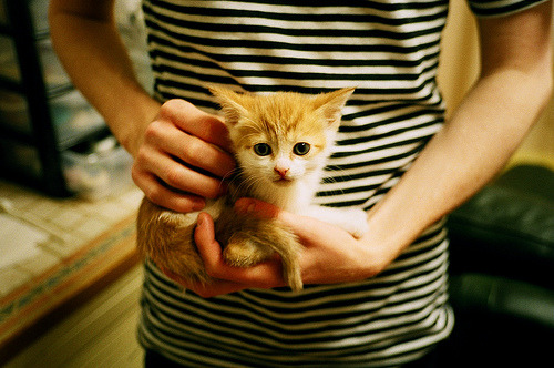 挪威驯牛师与关键先生，当厄德高的节奏哲学遇上阿尔瓦雷斯的致命一击