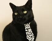 万箭齐发！广厦队火力全开压制热火，冷血贝恩成关键先生