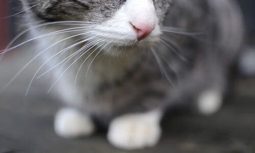 新王试剑,旧主沉舟,爱德华兹的怒吼划破密尔沃基夜空