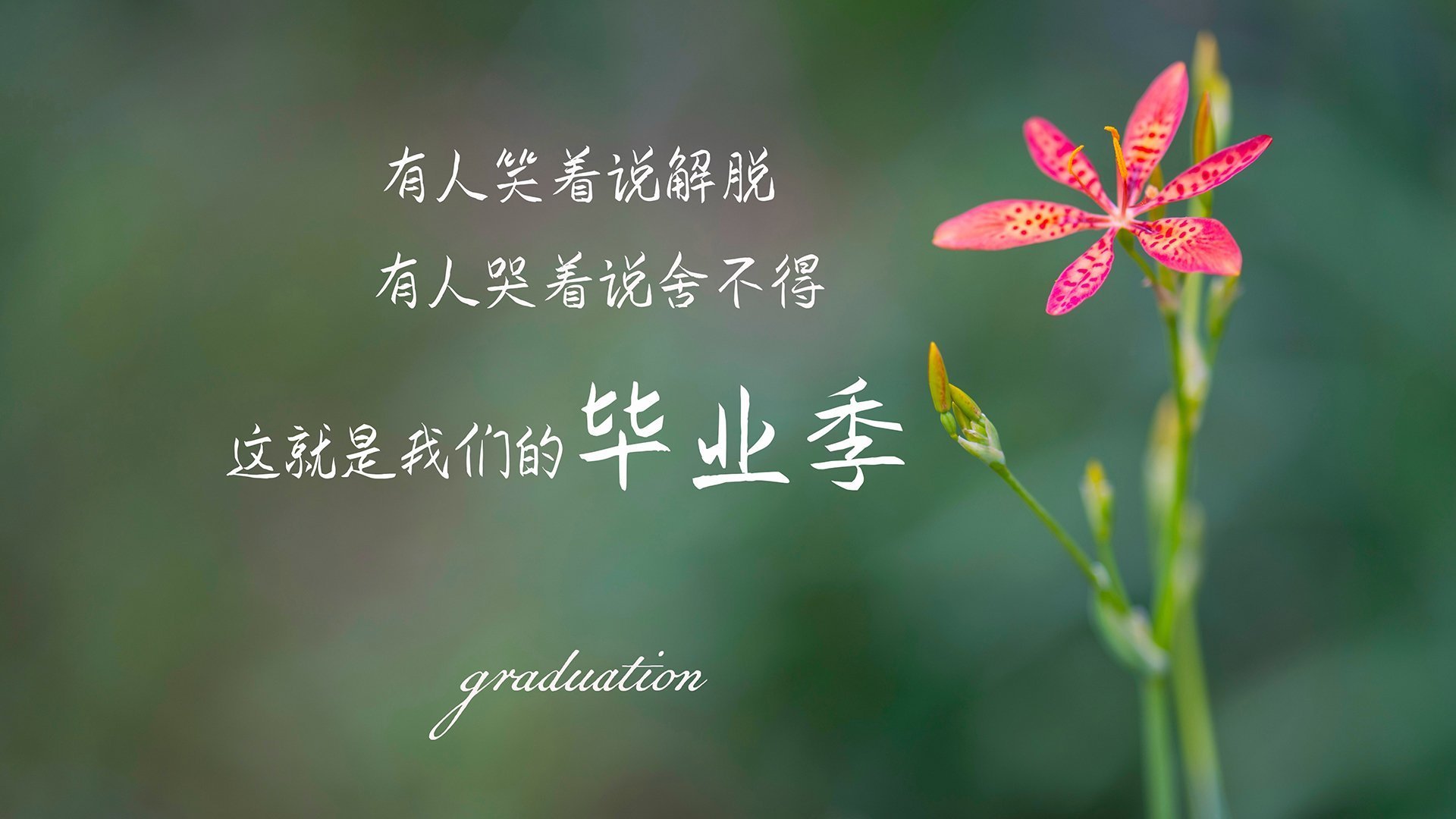 孤胆破双日,詹姆斯背靠背40+三双,黄蜂太阳同成王座注脚