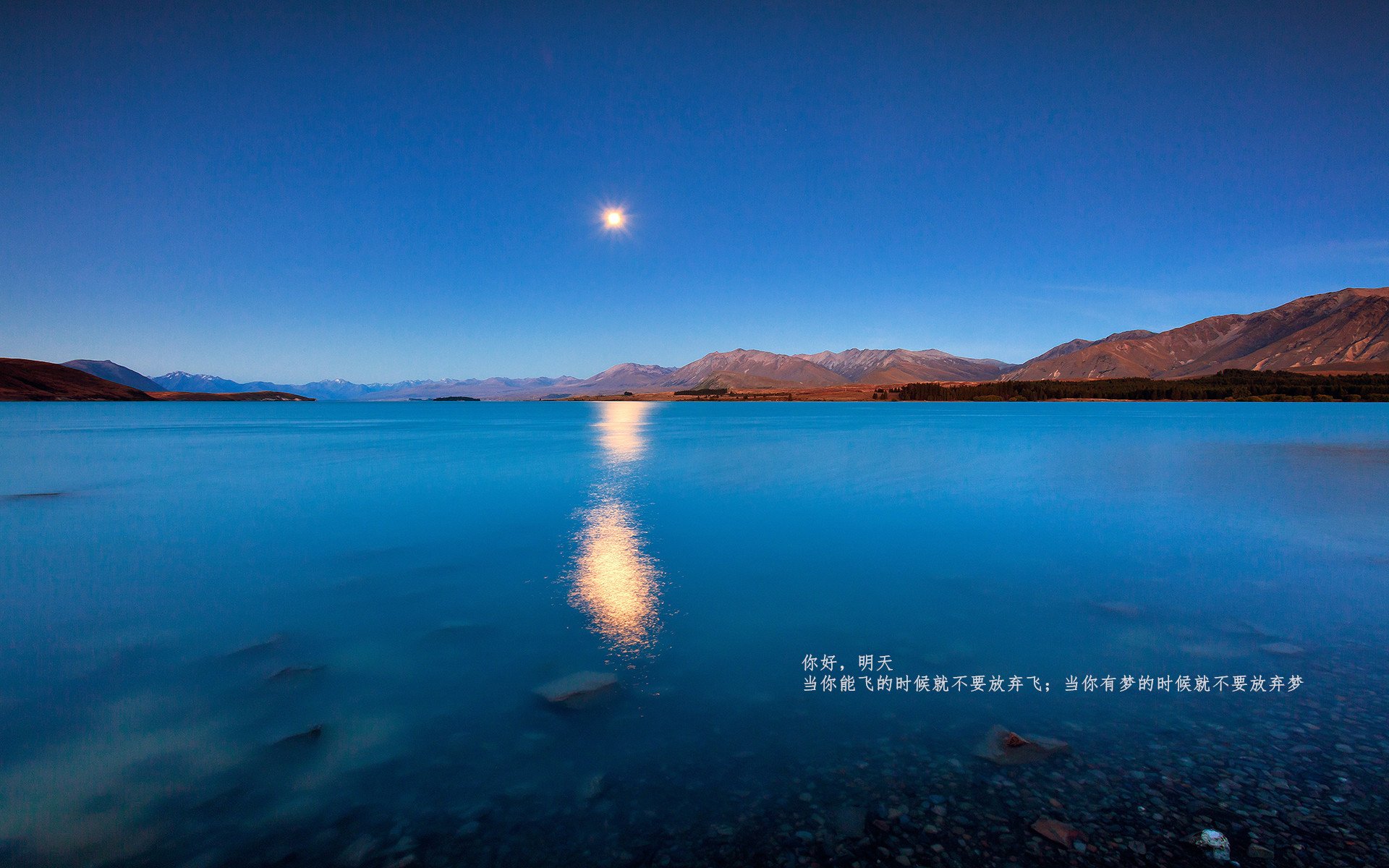 史诗级对决！利物浦vs加拿大的隐藏胜负手，恩佐的终极教科书表现