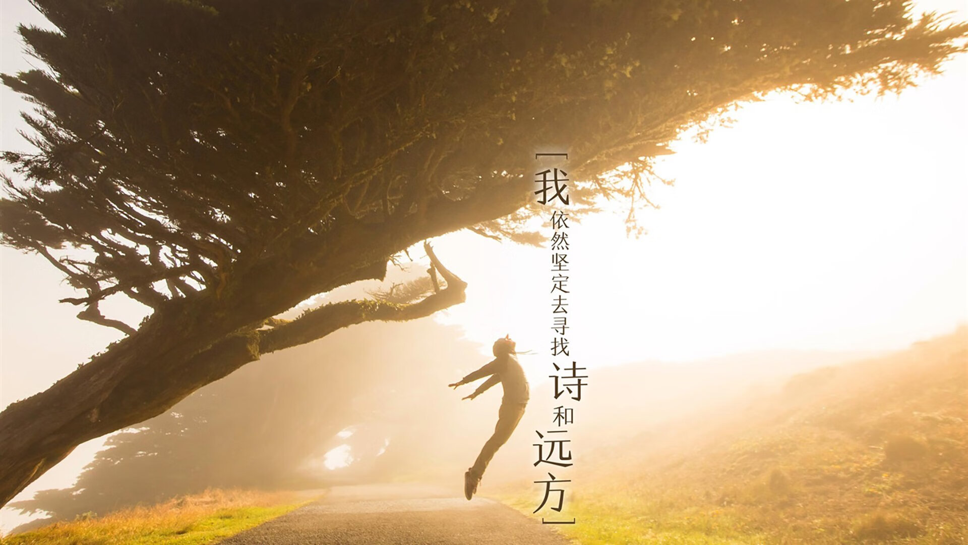 2026世界杯E组生死局,瑞士铁骑踏碎智利,C罗领葡萄牙进攻风暴席卷赛场