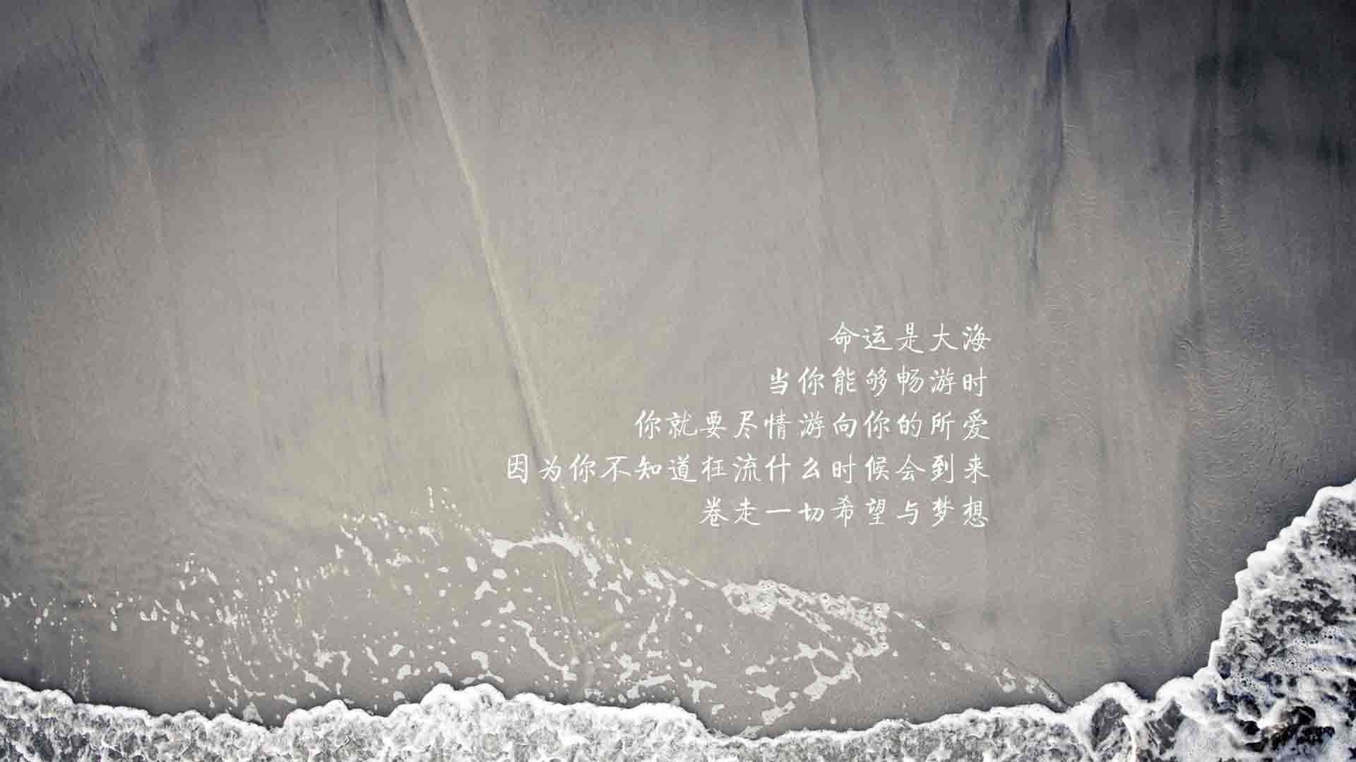 蓝黄风暴席卷多哈，布罗佐维奇铸就中场铁幕，厄瓜多尔横扫尼日利亚震撼2026世界杯A组