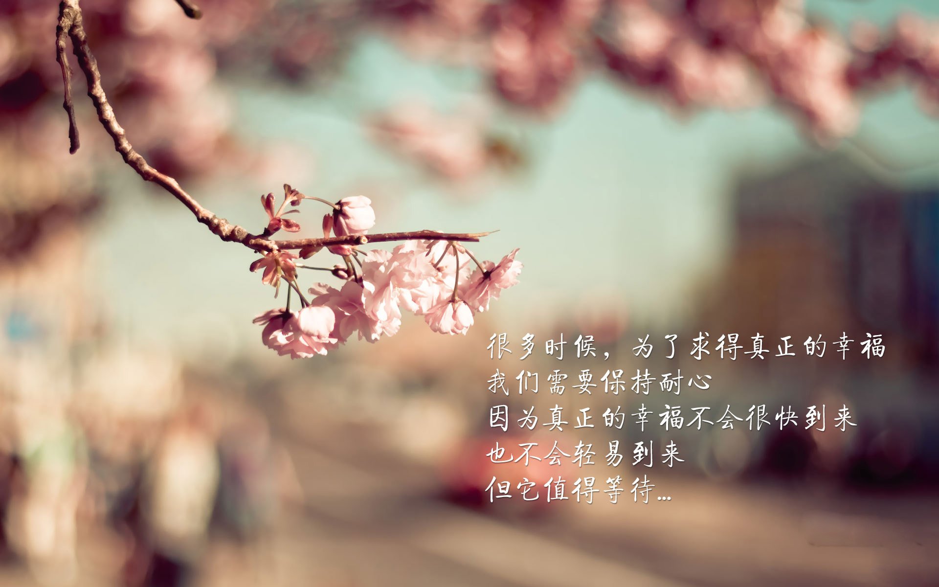 绝地反击,努涅斯风暴席卷波兰防线,阿根廷凭门神神勇在2026世界杯A组焦点战中惊天逆转