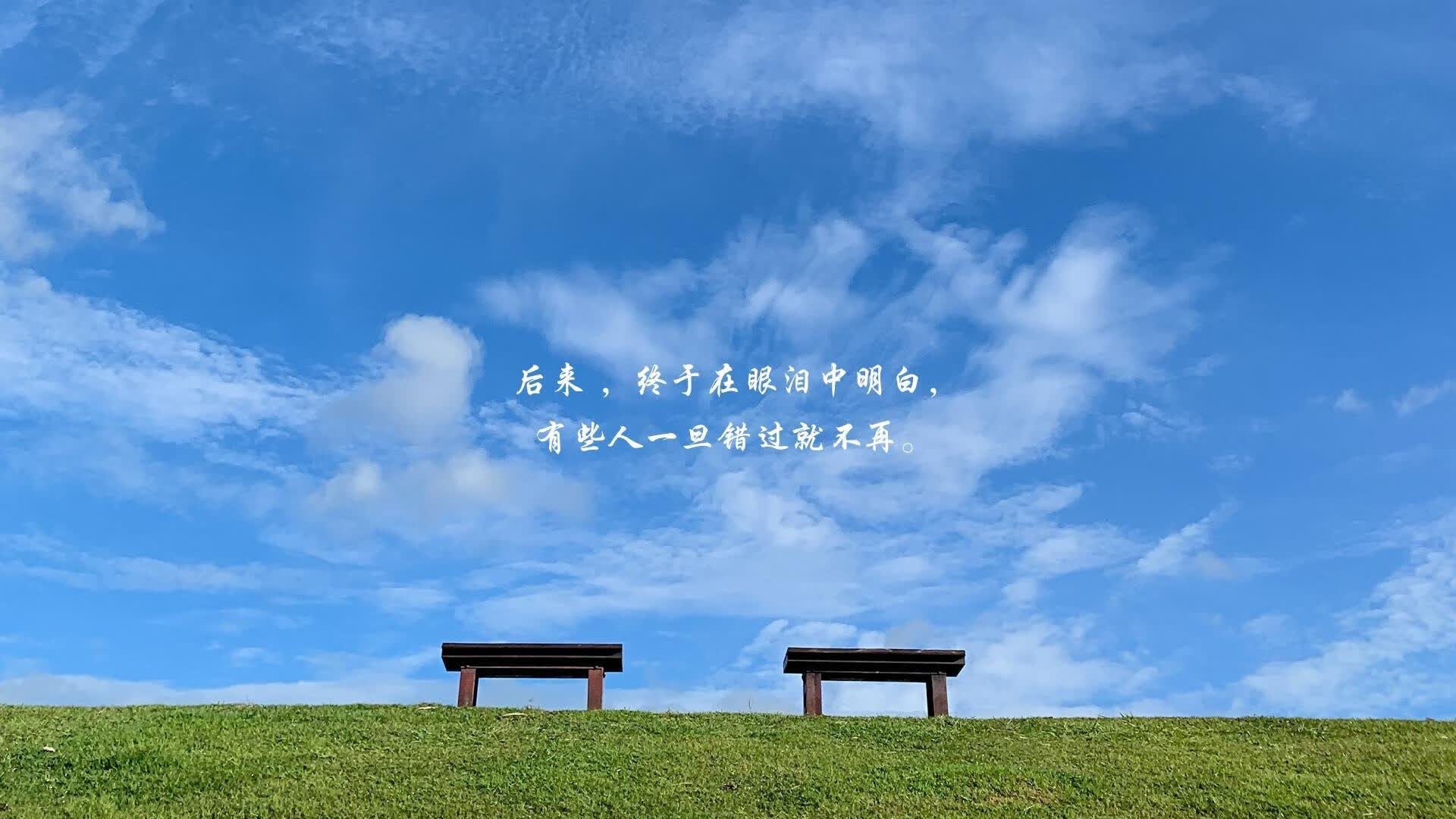 蓝色风暴在奥斯陆折戟,挪威人的战吼,如何改写2026世界杯D组的宿命剧本